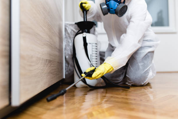 Best Mosquito Control Services  in Bozeman, MT