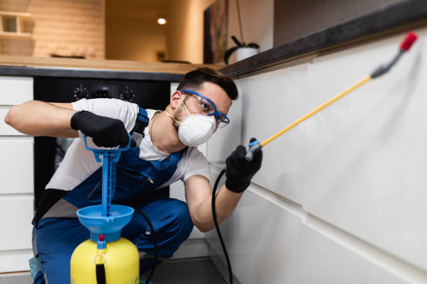 Best Ant Control Services  in Bozeman, MT