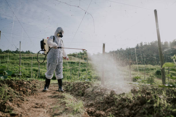 Best Termite Control Services  in Bozeman, MT