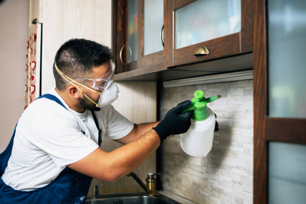 Best Best Pest Control Near Me  in Bozeman, MT