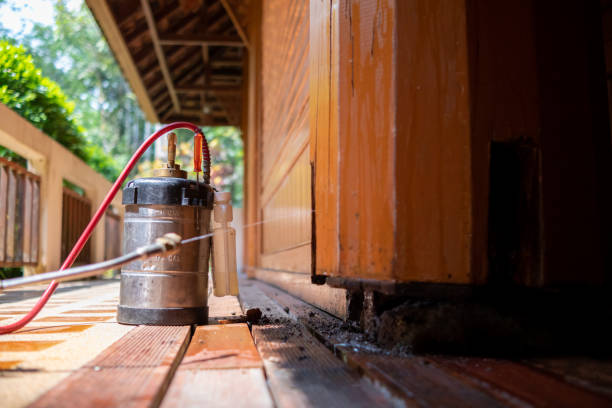 Pest Prevention Services in Bozeman, MT