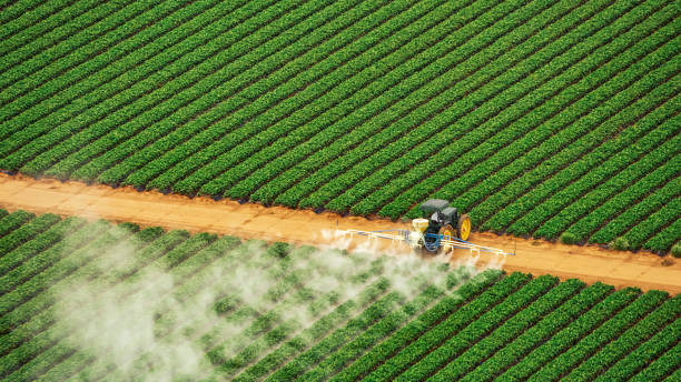 Best Commercial Pest Control Services  in Bozeman, MT