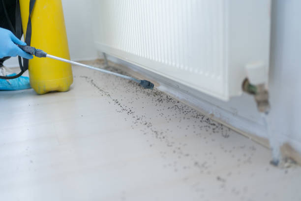 Best Mosquito Control Services  in Bozeman, MT