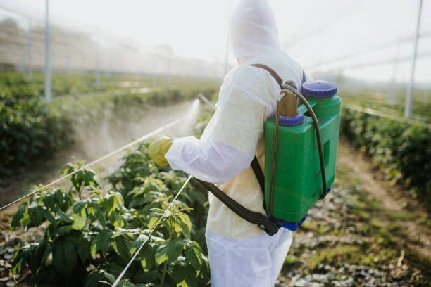 Best Cockroach Control Services  in Bozeman, MT